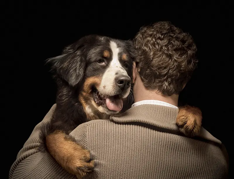 Necesitaba un abrazo...